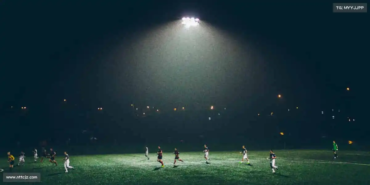 金彩汇——🏓⚡速度与技巧，一拍即合！